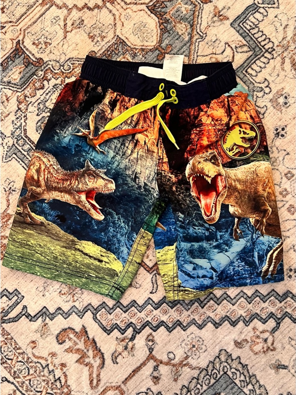 Boys' Jurassic Dinosaur Swim Trunks - Multicolor